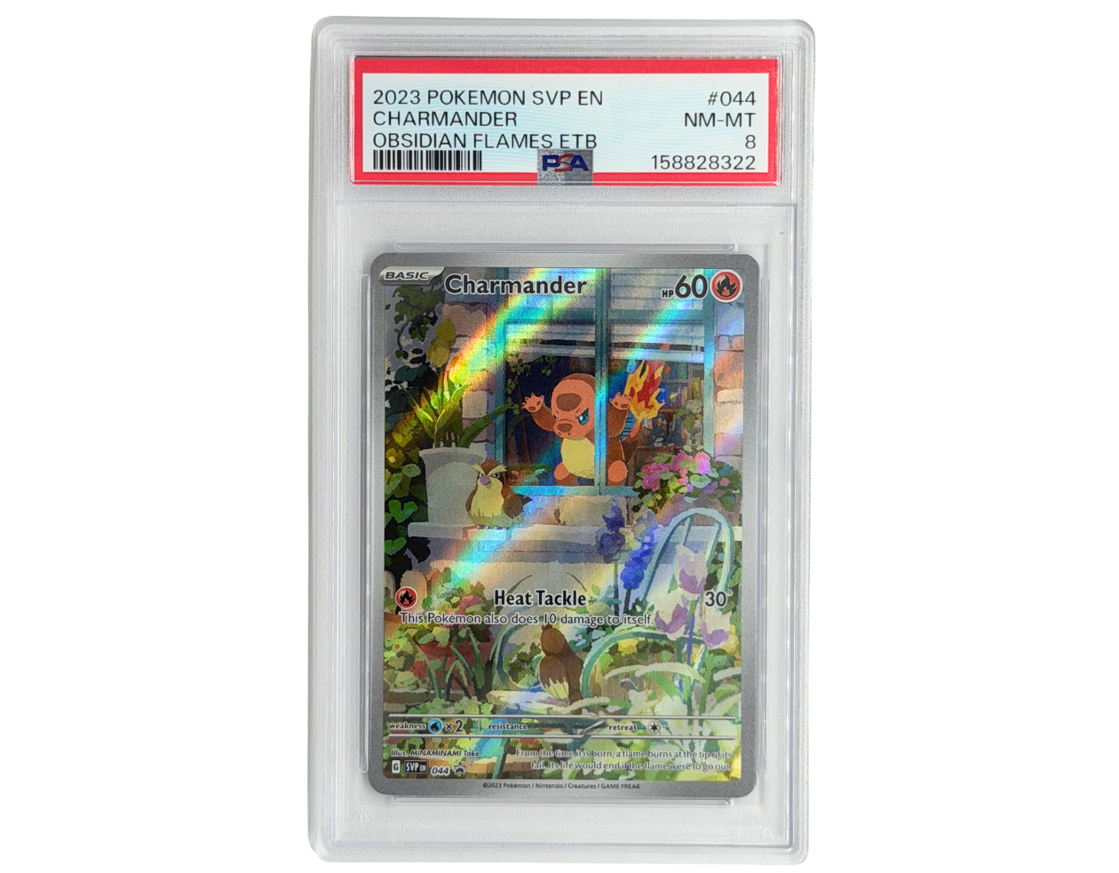 Pokémon Charmander (SVP 044) - PSA 8 -  SV Black Star Promos