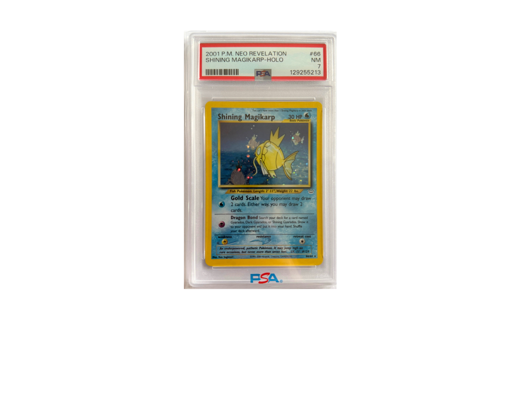 Pokémon Shining Magikarp (NR 66) - PSA 7 - Neo Revelation