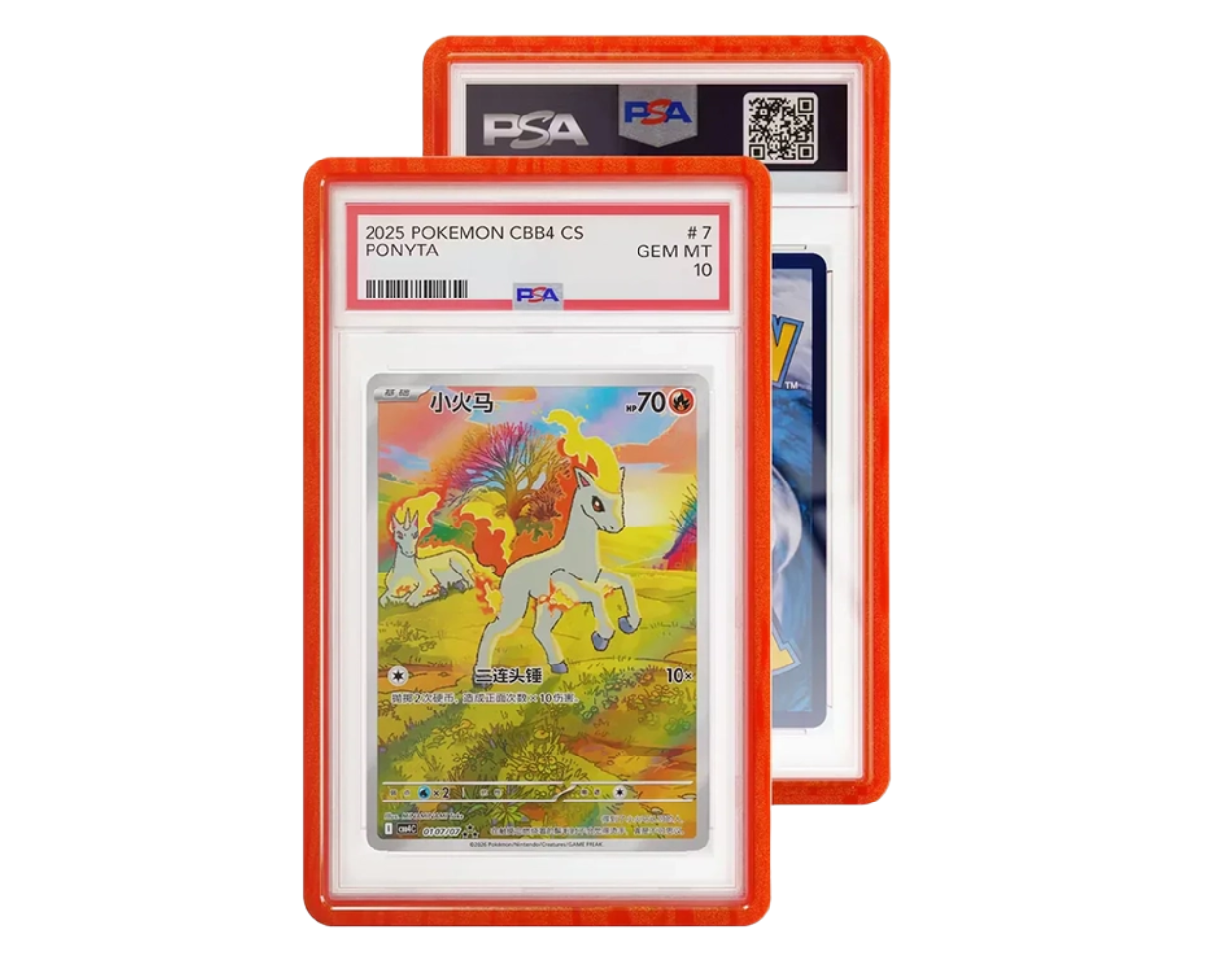 GradedGuard PSA Card Case - Limited Edition Year Of The Horse
