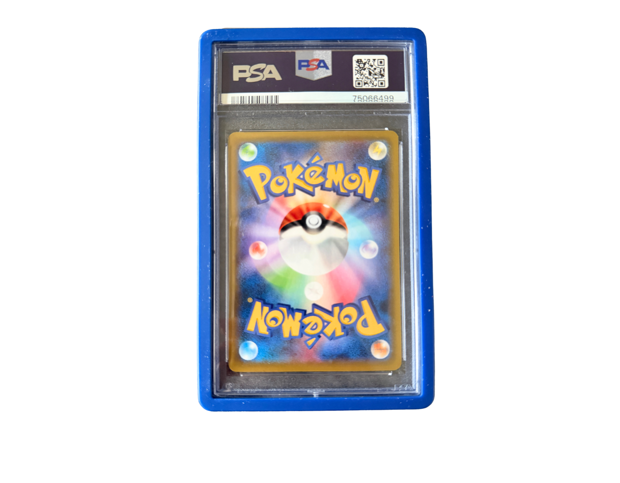 Pokémon Cramorant (S-P 226) - PSA 10 - Sword & Shield Promos