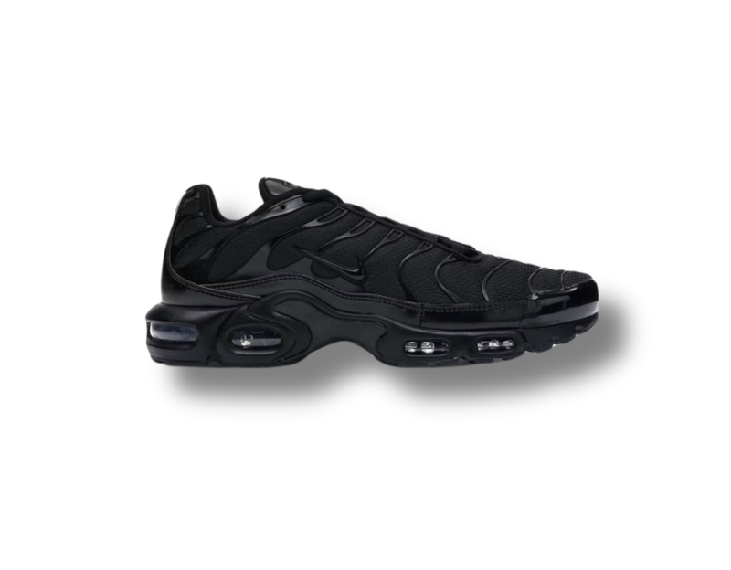 Nike Air Max Plus Triple Black
