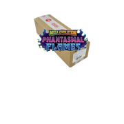 Pokémon Phantasmal Flames 6 Booster Box Case