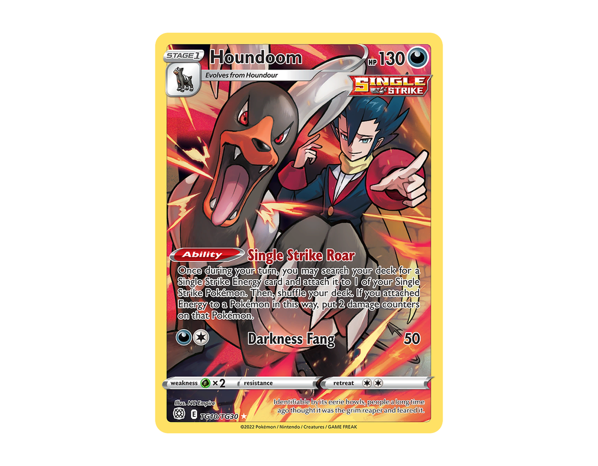 Houndoom BSTG TG10/30 (Brilliant Stars Trainer Gallery)